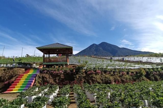Mantap! Farenza Garden Merangin Masuk Nominasi Anugerah Pesona Indonesia Award 2025