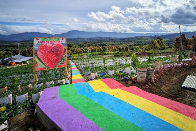 Dukung Farenza Garden Merangin di Anugerah Pesona Award (API) Award 2025: Begini Caranya