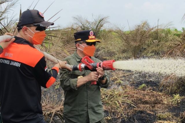 Turun Langsung Padamkan Lahan Gambut 50 Hektare Terbakar: Gubernur Al Haris Minta Desa di Jambi Siaga Karhutla