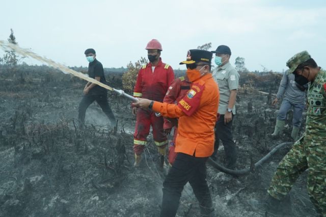 Aksi Sigap Gubernur Al Haris Padamkan 28 Hektare Lahan Terbakar di Kumpeh: Suarakan Program PLTB untuk Warga