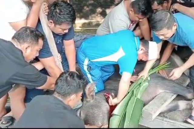 Idul Adha 2023: Gubernur Al Haris Salurkan 82 Sapi Kurban