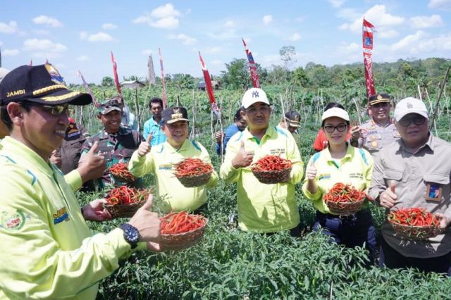 Gubernur Al Haris: Panen Cabai Momentum Pembangunan Pertanian