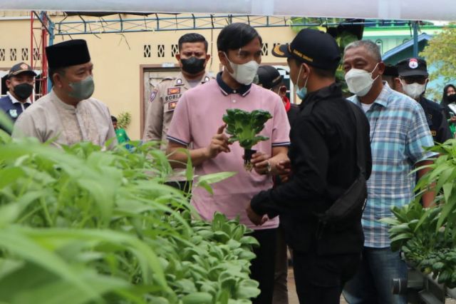 Jawab Aspirasi Anak Muda, Ketua DPRD Provinsi Jambi Ikut Panen Sayuran Hidroponik