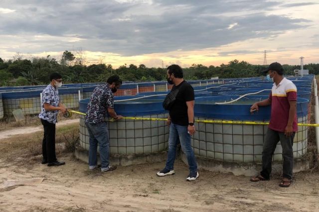 Kasus Penipuan Investasi Ikan Lele, Kepala Cabang PT DHD Ditetapakan Tersangka