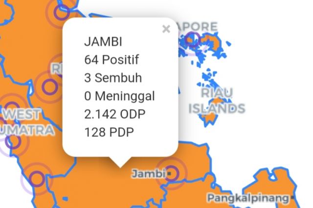 Kabar Baik! Pasien Sembuh dari Corona di Jambi Bertambah 2, Total Menjadi 3 Orang