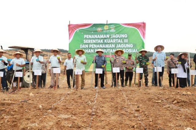 Dukung Swasembada Pangan: Wabup Katamso dan Kapolres Tanjab Barat Tanam Jagung Serentak Bersama Kapolri Via Zoom