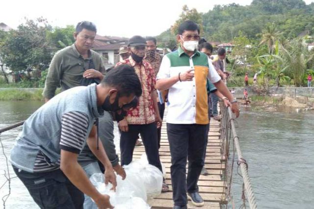 Syafril Nursal Tebarkan Ribuan Benih Ikan Semah dan Medik di Sungai Batang Merangin