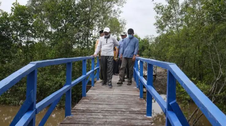 Pemkab Tanjab Barat apresiasi pembentukan Perdes perlindungan hutan mangrove