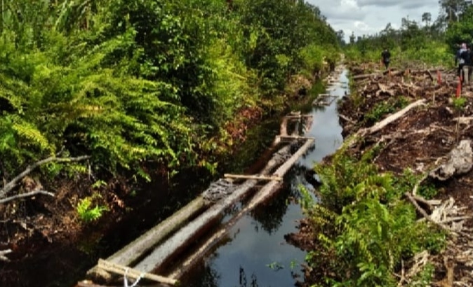 Ratusan kayu bulat ilegal yang diamankan polisi di hutan perbatasan Jambi-Sumsel