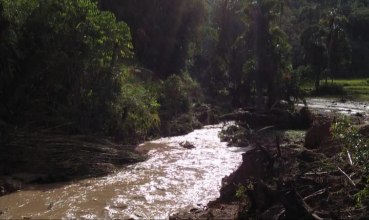 Sungai Pematang Pauh